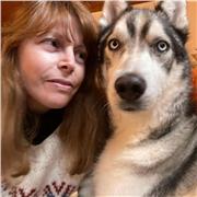 Lezioni di francese,  inglese e  spagnolo per tutti